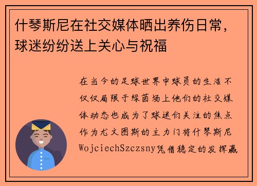 什琴斯尼在社交媒体晒出养伤日常，球迷纷纷送上关心与祝福
