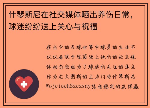 什琴斯尼在社交媒体晒出养伤日常，球迷纷纷送上关心与祝福