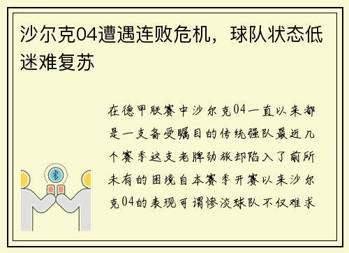 沙尔克04遭遇连败危机，球队状态低迷难复苏